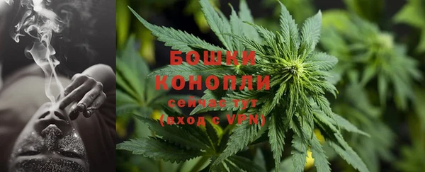 гидропоника Карпинск