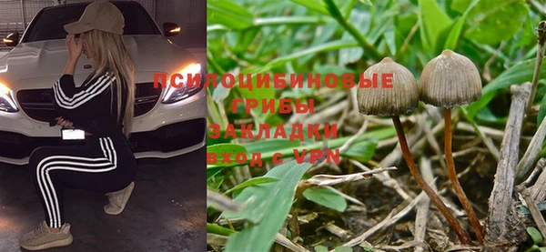 mdpv Карталы